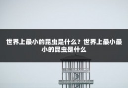 世界上最小的昆虫是什么?世界上最小最小的昆虫是什么