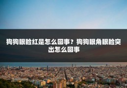 狗狗眼睑红是怎么回事？狗狗眼角眼睑突出怎么回事