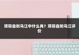 项羽自刎乌江中什么肖？项羽自刎乌江评价