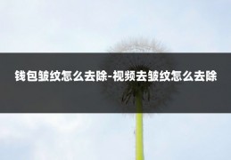 钱包皱纹怎么去除-视频去皱纹怎么去除