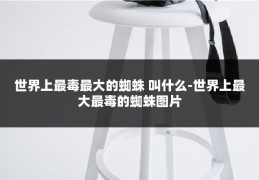 世界上最毒最大的蜘蛛 叫什么-世界上最大最毒的蜘蛛图片