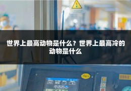 世界上最高动物是什么？世界上最高冷的动物是什么