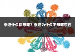 泰迪什么都想吃？泰迪为什么不想吃东西