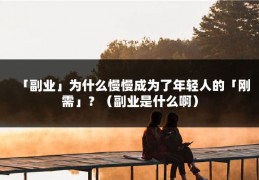 「副业」为什么慢慢成为了年轻人的「刚需」？（副业是什么啊）