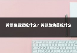 黄颡鱼最爱吃什么?黄颡鱼幼苗吃什么