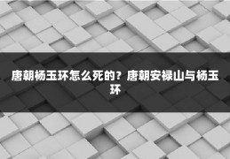 唐朝杨玉环怎么死的?唐朝安禄山与杨玉环