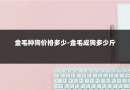 金毛种狗价格多少-金毛成狗多少斤