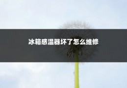 冰箱感温器坏了怎么维修