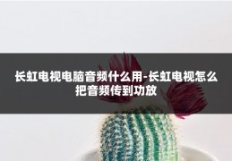 长虹电视电脑音频什么用-长虹电视怎么把音频传到功放