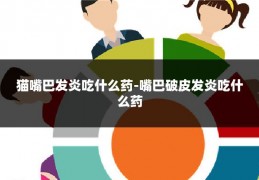 猫嘴巴发炎吃什么药-嘴巴破皮发炎吃什么药