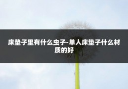 床垫子里有什么虫子-单人床垫子什么材质的好