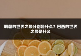 明朝的世界之最分别是什么？巴西的世界之最是什么