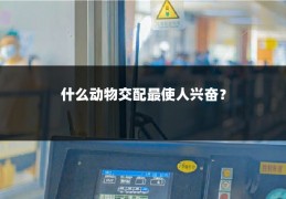 什么动物交配最使人兴奋？