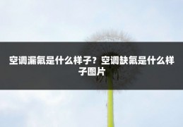 空调漏氟是什么样子?空调缺氟是什么样子图片