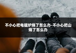 不小心把电磁炉烧了怎么办-不小心把山烧了怎么办