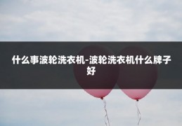 什么事波轮洗衣机-波轮洗衣机什么牌子好