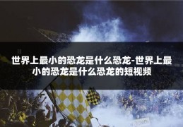 世界上最小的恐龙是什么恐龙-世界上最小的恐龙是什么恐龙的短视频