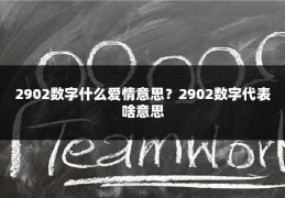 2902数字什么爱情意思?2902数字代表啥意思