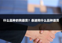 什么品种的狗最贵？泰迪狗什么品种最贵