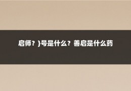 启师?}号是什么?善启是什么药
