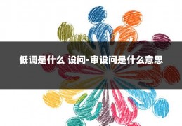 低调是什么 设问-审设问是什么意思