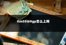 tlm55t69gp怎么上网