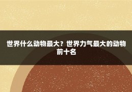世界什么动物最大?世界力气最大的动物前十名