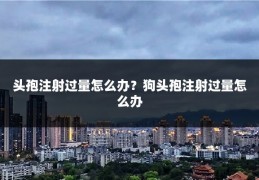 头孢注射过量怎么办？狗头孢注射过量怎么办