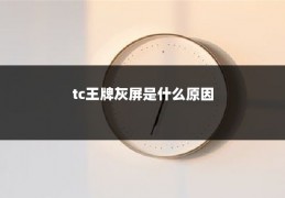 tc王牌灰屏是什么原因