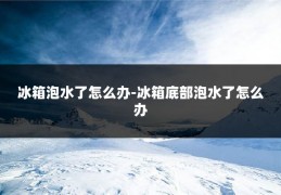 冰箱泡水了怎么办-冰箱底部泡水了怎么办