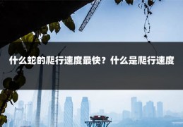 什么蛇的爬行速度最快?什么是爬行速度