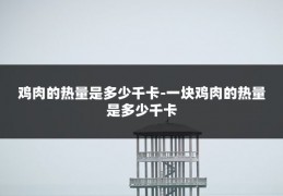 鸡肉的热量是多少千卡-一块鸡肉的热量是多少千卡