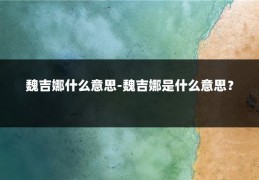 魏吉娜什么意思-魏吉娜是什么意思?