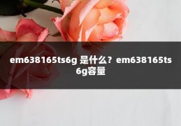 em638165ts6g 是什么?em638165ts6g容量
