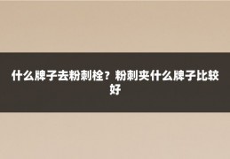 什么牌子去粉刺栓?粉刺夹什么牌子比较好