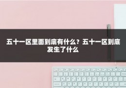 五十一区里面到底有什么？五十一区到底发生了什么