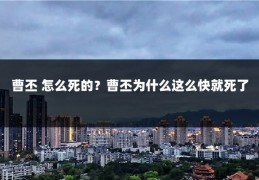 曹丕 怎么死的?曹丕为什么这么快就死了