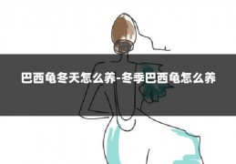 巴西龟冬天怎么养-冬季巴西龟怎么养