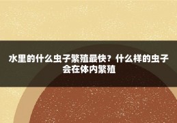 水里的什么虫子繁殖最快?什么样的虫子会在体内繁殖