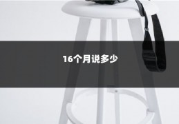 16个月说多少
