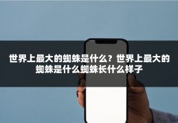 世界上最大的蜘蛛是什么?世界上最大的蜘蛛是什么蜘蛛长什么样子