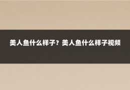美人鱼什么样子？美人鱼什么样子视频
