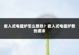 嵌入式电磁炉怎么散热?嵌入式电磁炉散热要求