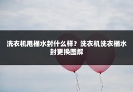 洗衣机甩桶水封什么样?洗衣机洗衣桶水封更换图解