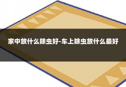 家中放什么除虫好-车上除虫放什么最好