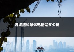 聊城脑科急诊电话是多少钱