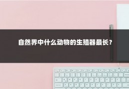 自然界中什么动物的生殖器最长？