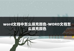 word文档中怎么填充颜色-WORD文档怎么填充颜色