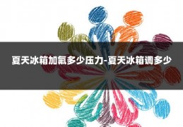 夏天冰箱加氟多少压力-夏天冰箱调多少