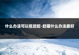 什么办法可以抠赶蛇-赶猫什么办法最好